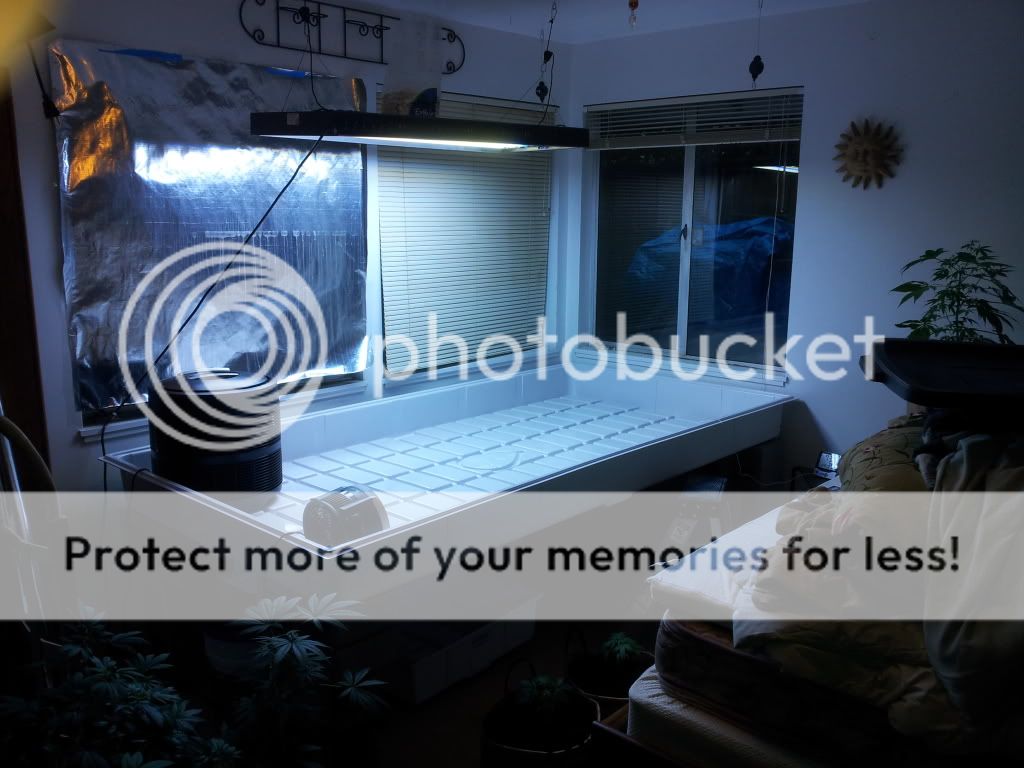 20120614_184813.jpg