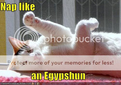 nap.jpg