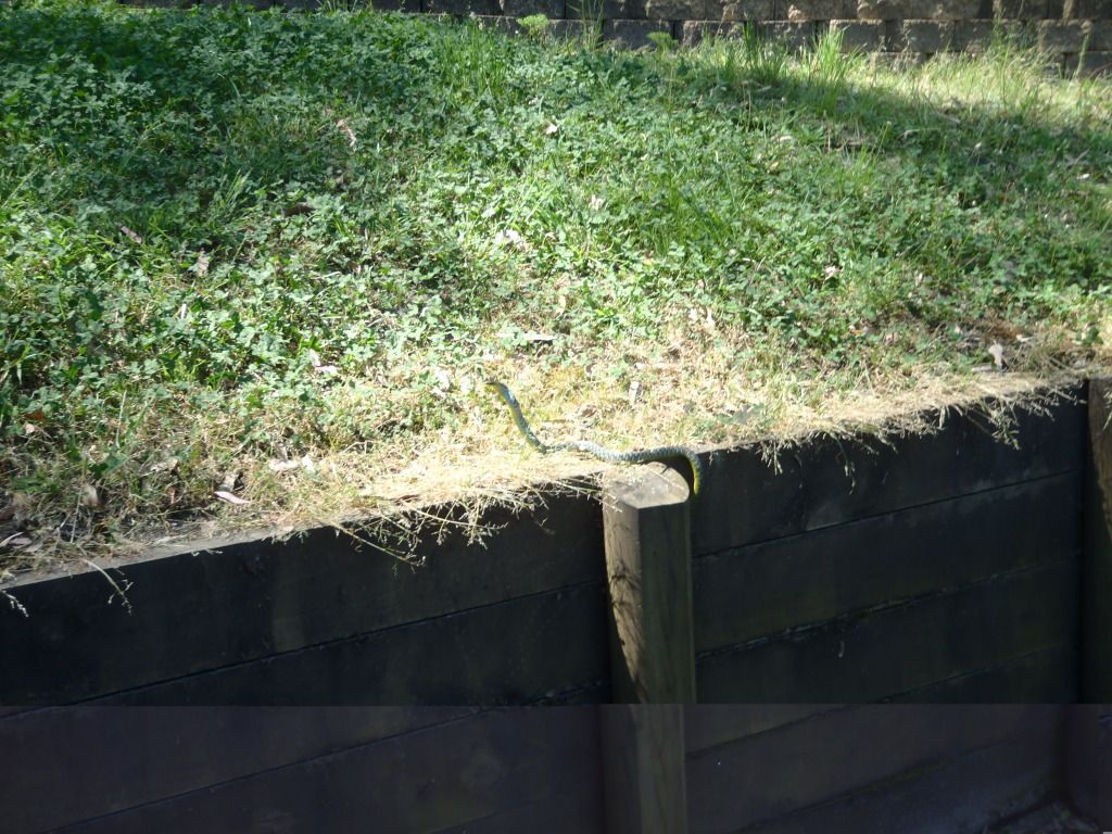 PA200005.jpg