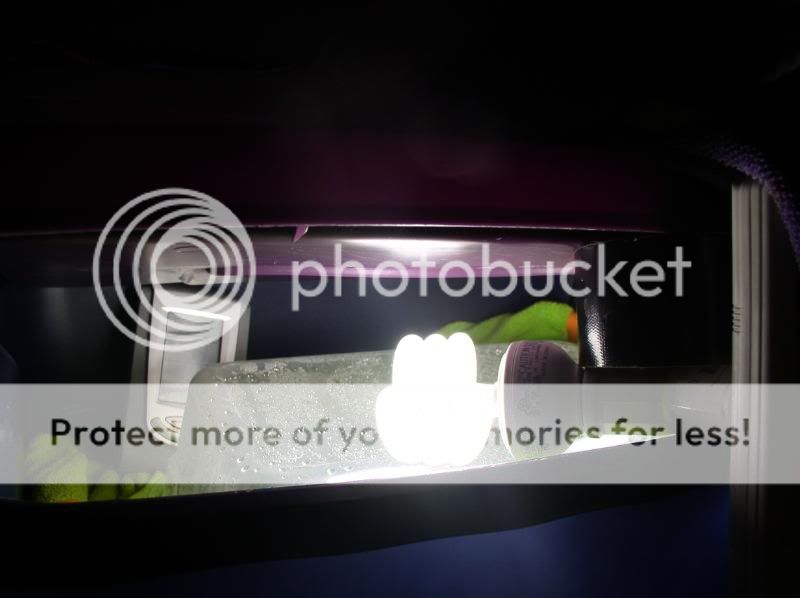 P1010034-1.jpg