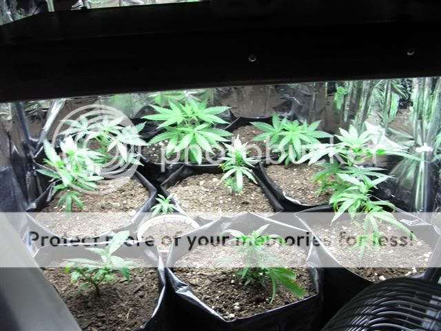 RIMG0002Small-2.jpg