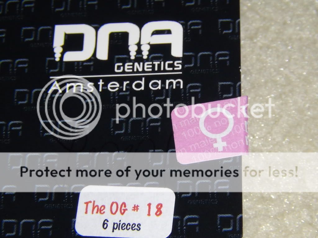 DSC00355.jpg