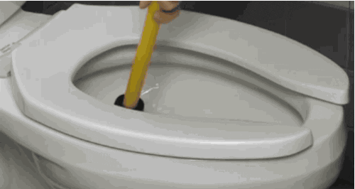 giphy.gif