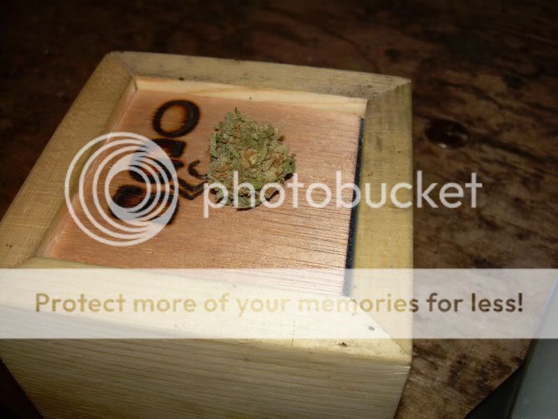 Earlytoke.jpg
