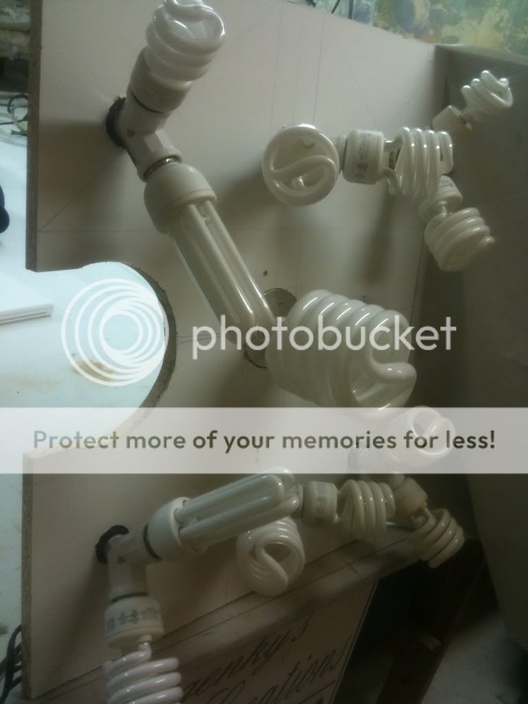 8570eb58.jpg