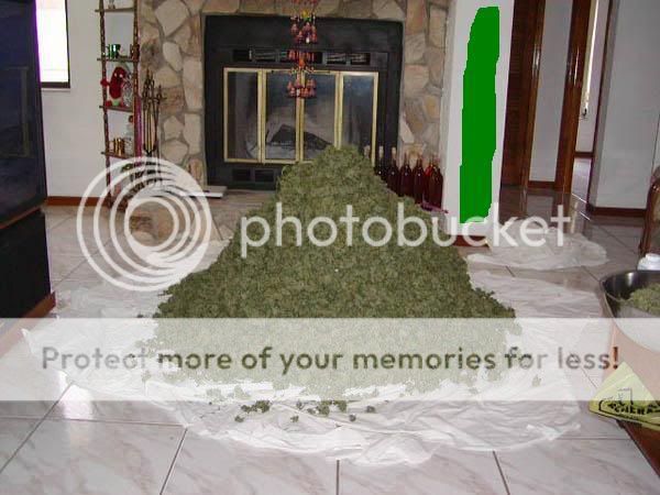 weed.jpg