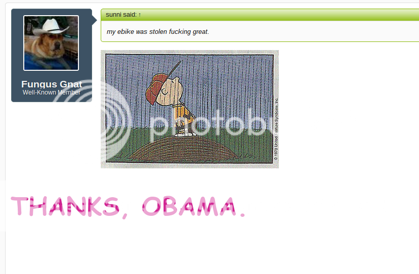image27_zps7d2e3abf.png