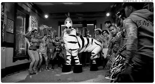 Shuffle-Zebra-Dance-Party-Reaction-Gif.gif