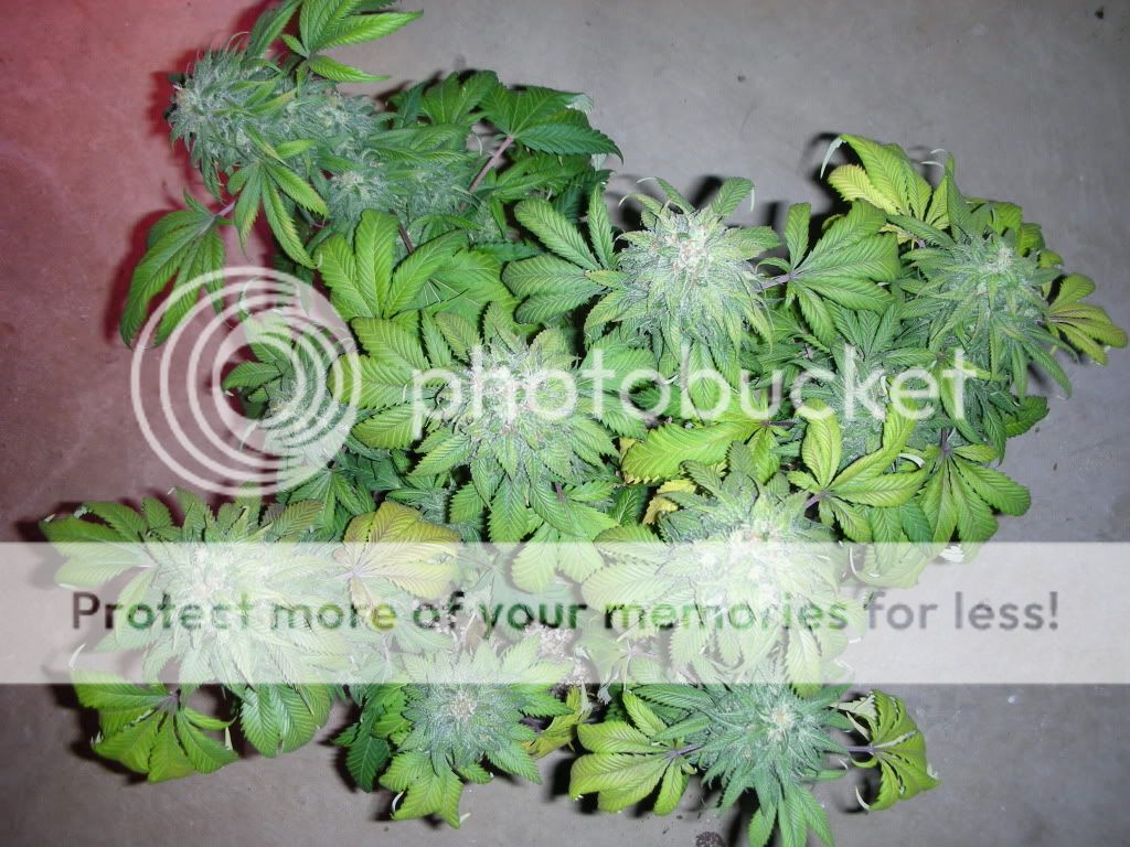 DSCN2150.jpg