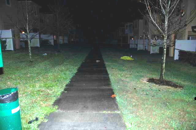 crime_scene_1.jpg