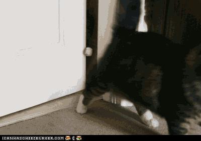 945be8e3-a8ae-4507-aa95-f207467ee139.gif