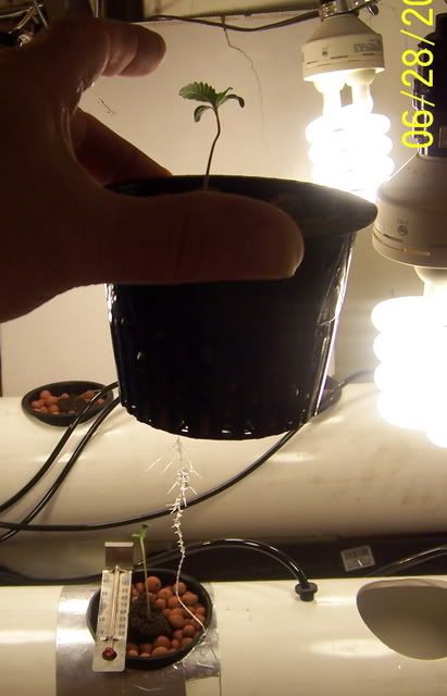 000_1031.jpg