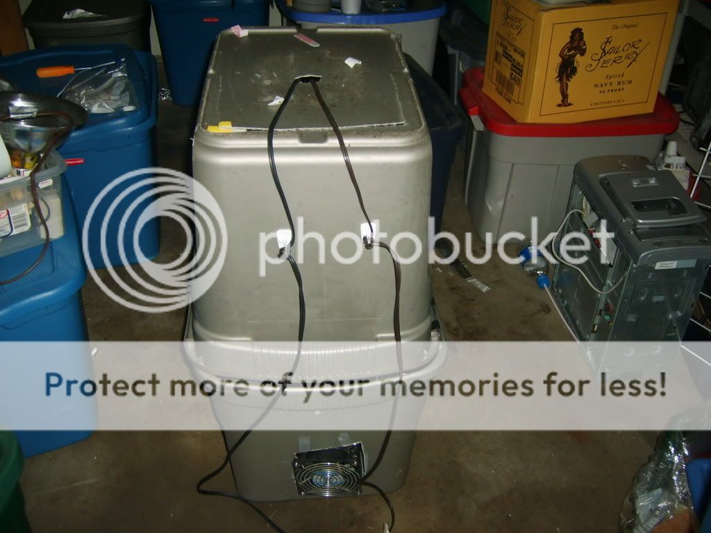 S5000230.jpg