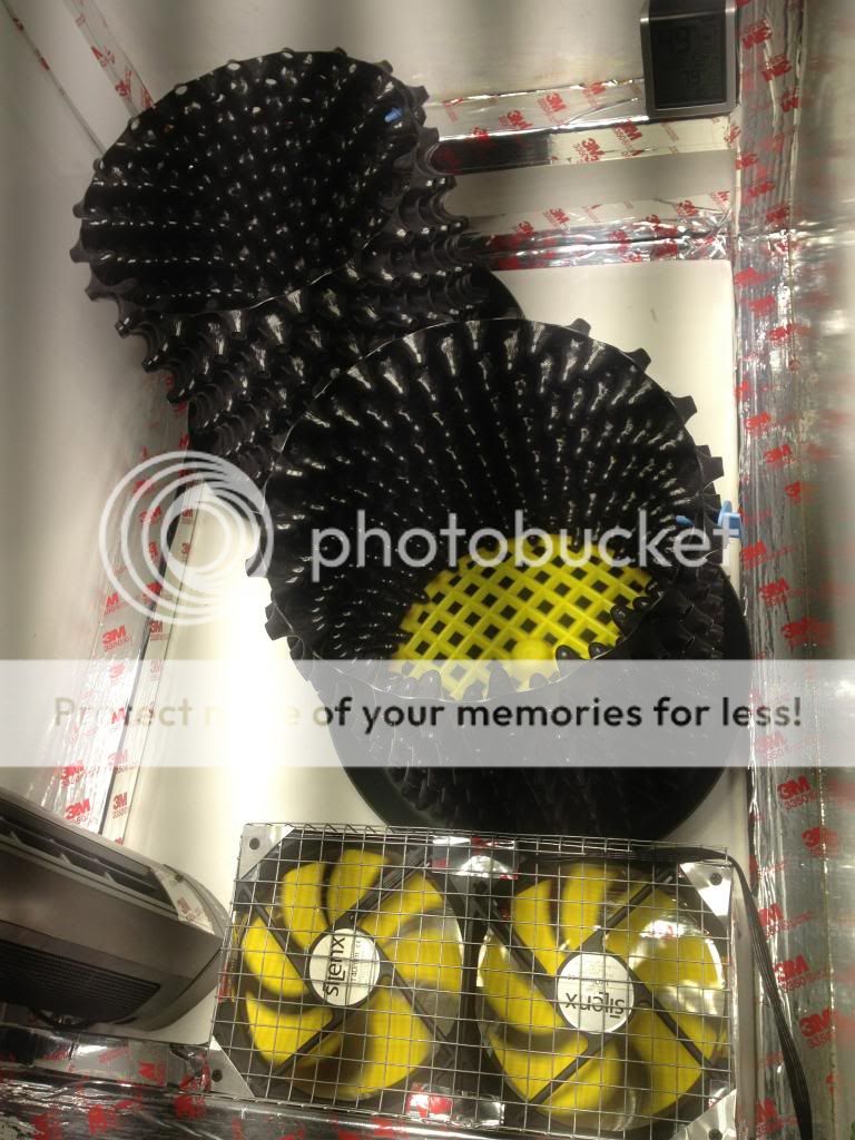 IMG_2317_zps491a0b37.jpg