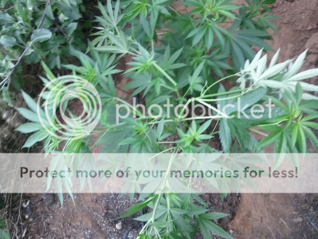 WP_000206.jpg