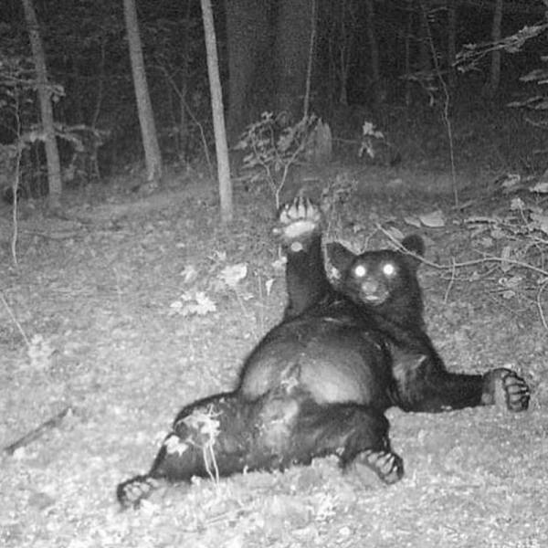 acid_picdump_83.jpg