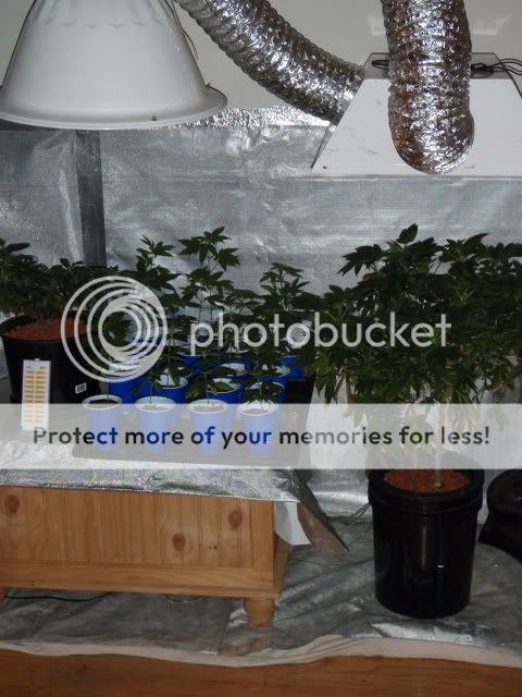 PB040459_640x480.jpg