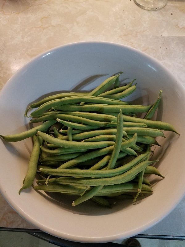 beans1a.jpg