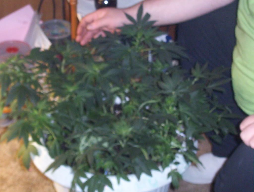 100_3734.jpg