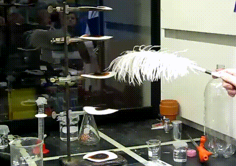 gifs_12.gif