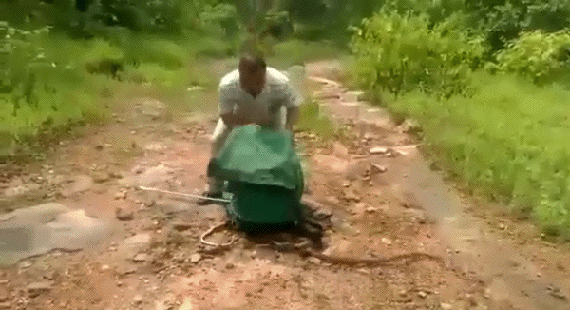 gifs_14.gif