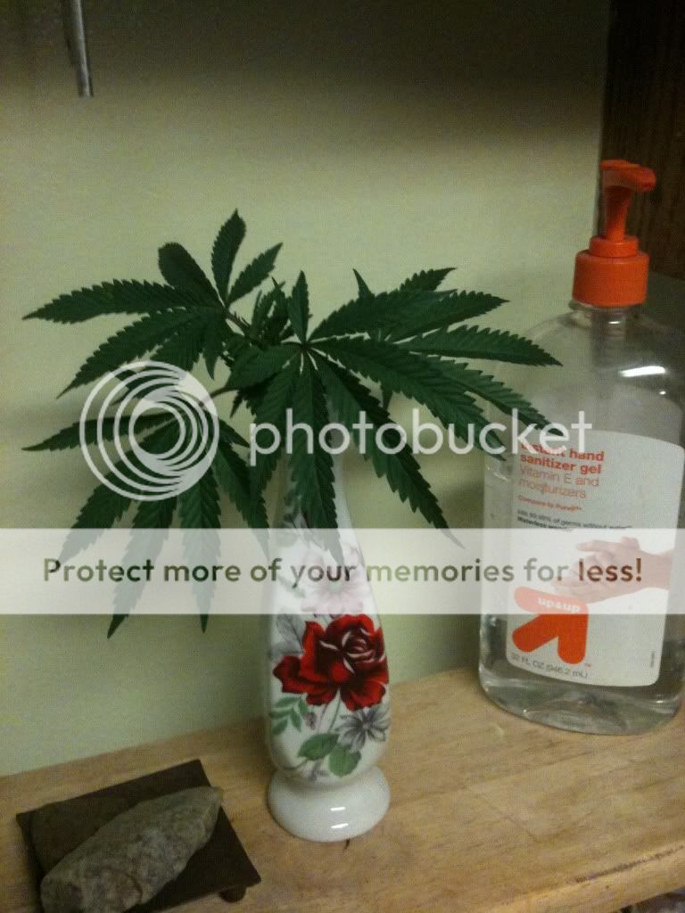 photo-8.jpg