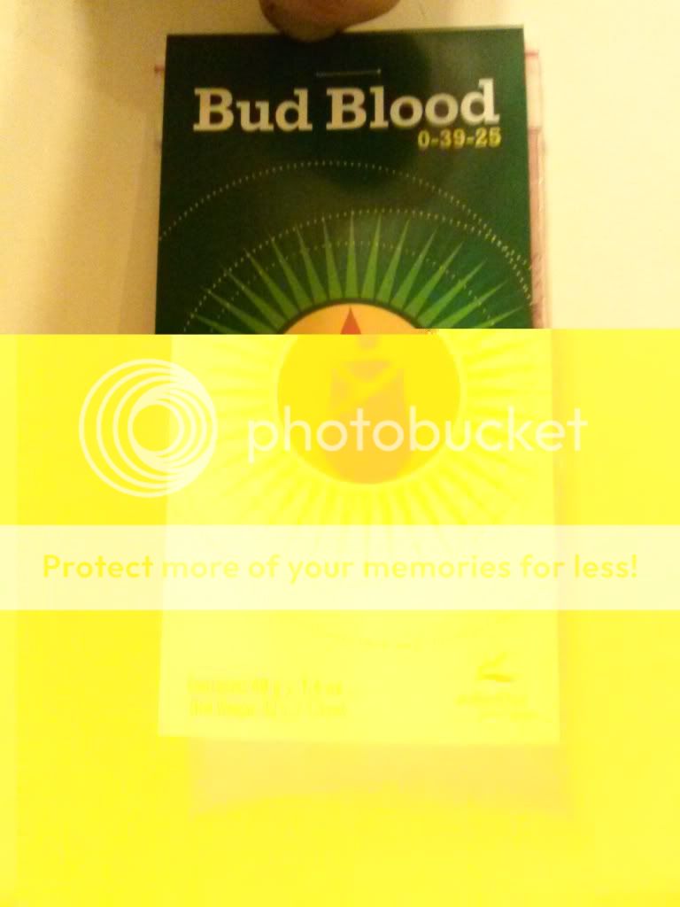 CAM00784_zps435a490d.jpg