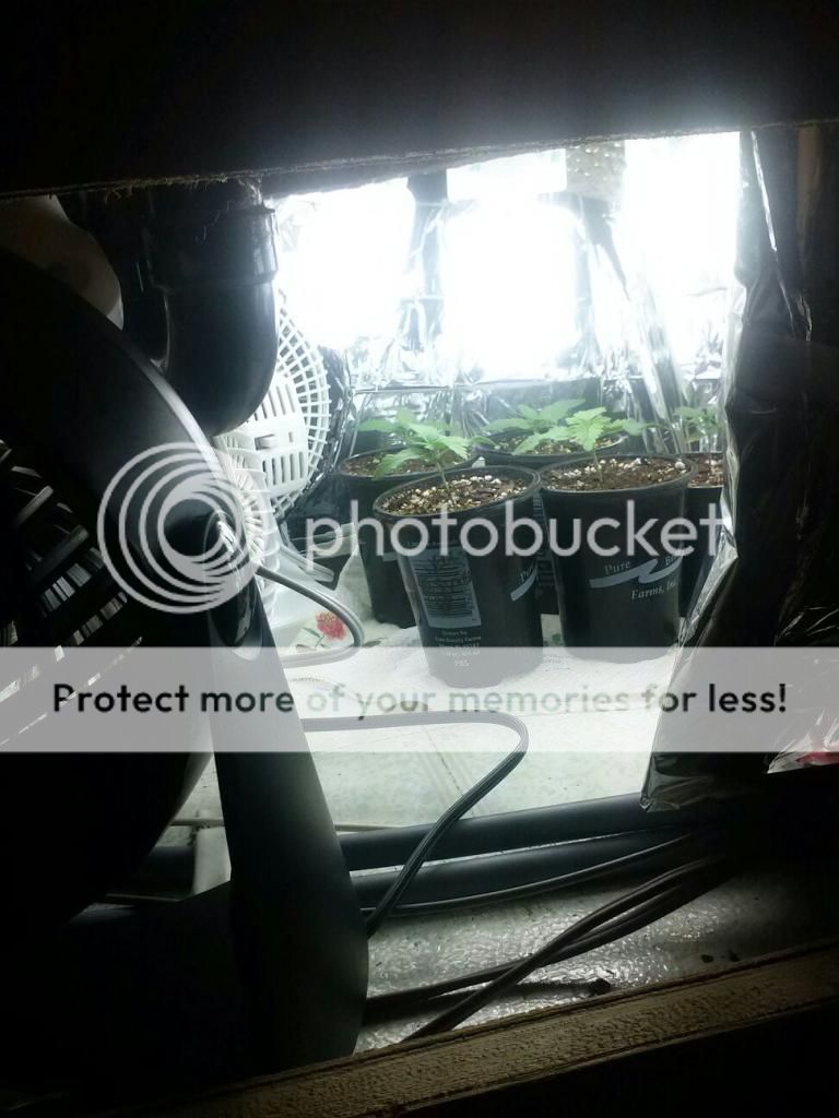 1230121049a_zpsd05fc585.jpeg