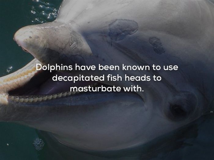 creepy_facts_15.jpg