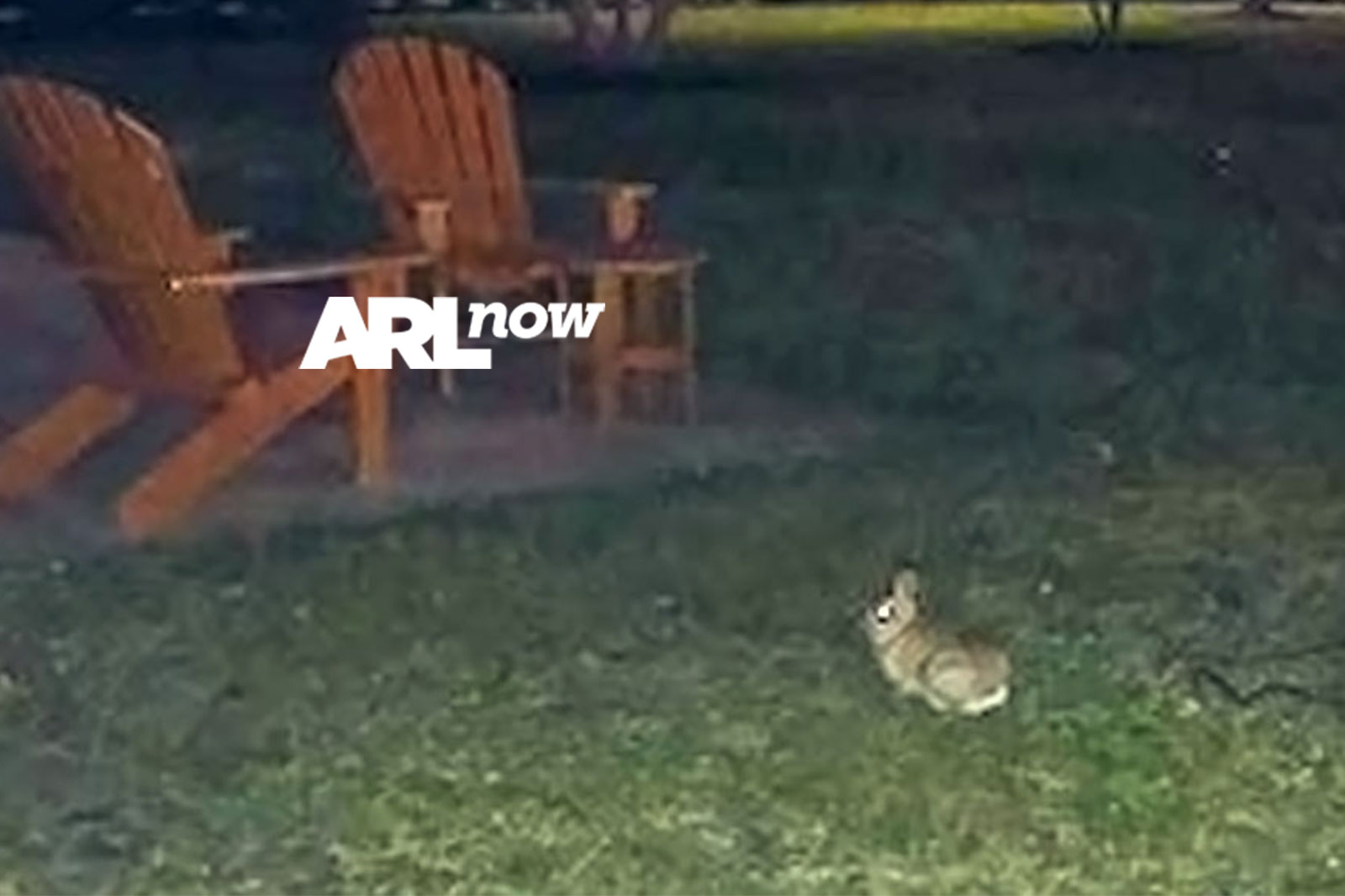 www.arlnow.com