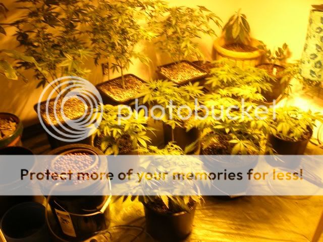DSCN1127.jpg