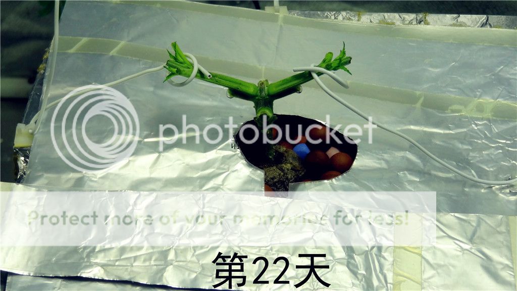 DSC03319__zpscrjadzer.jpg