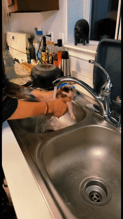 gifs_16.gif
