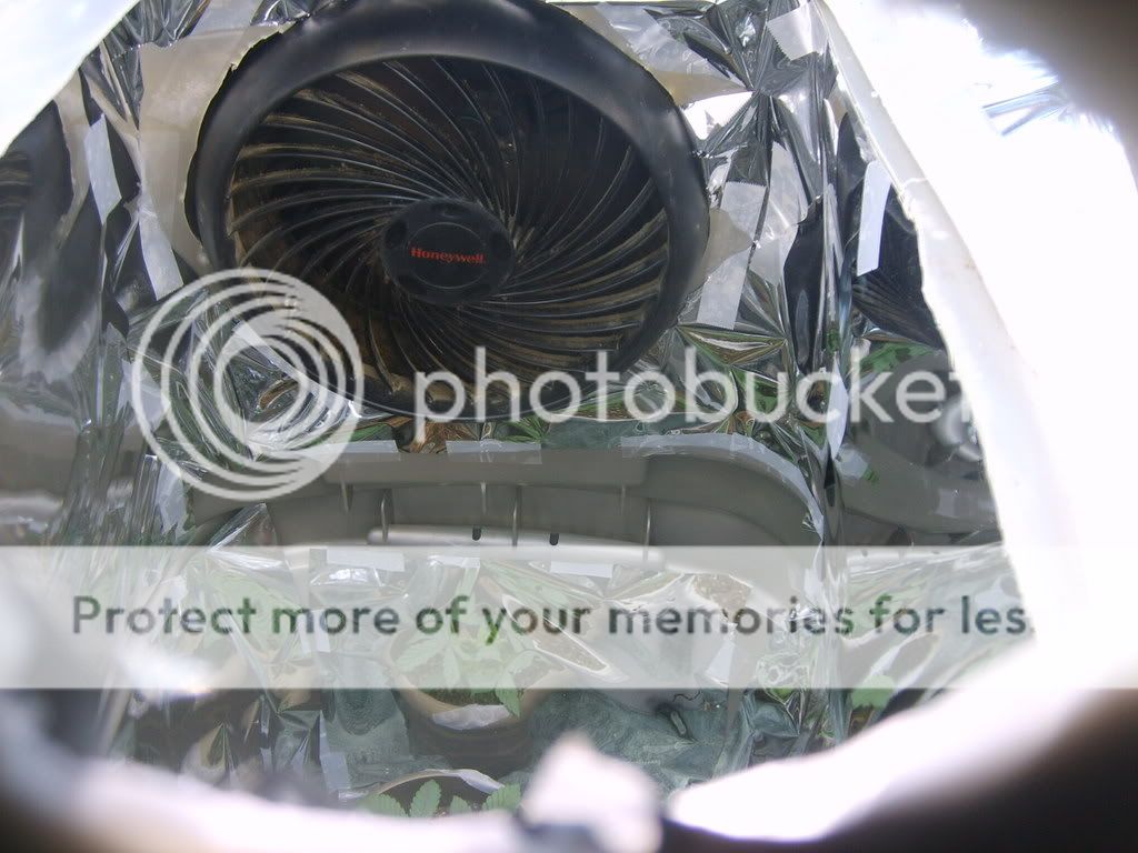 S5000277.jpg