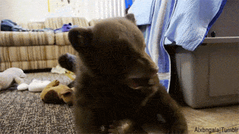 gifs_05.gif