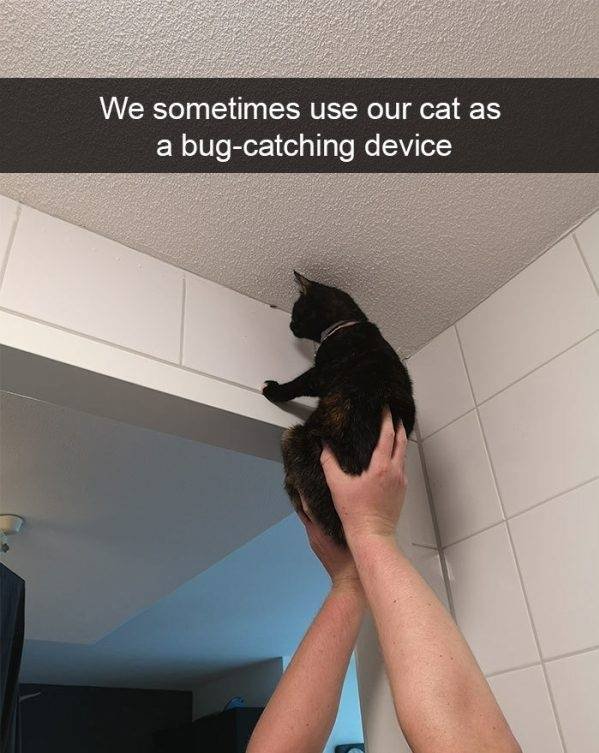 1578337640_l4sgg571wr.jpg