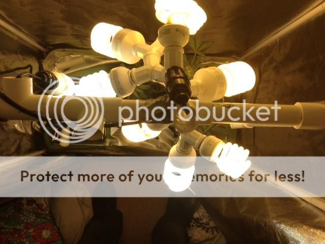 image_10_zpsfb5110e2.jpeg