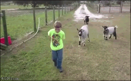4u34rdit02vy.gif