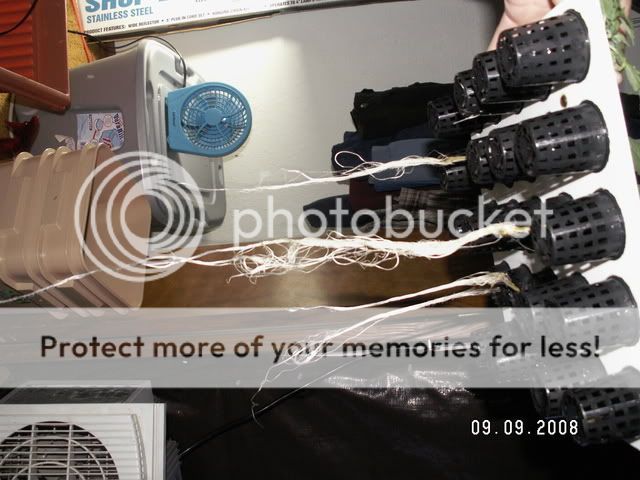 PICT0390.jpg