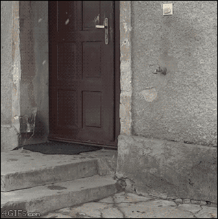 wGXEUwjiDMxO46Guh4cGqDFO3ROTo44yuejOb2mB6Dn6WaoPbUBpmw==.gif