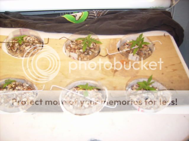 420022.jpg