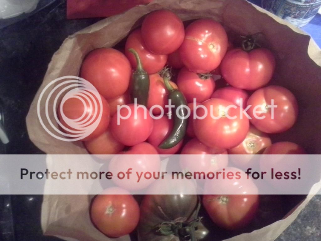 20140808_201549.jpg