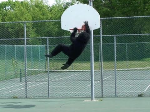 hqdefault.jpg