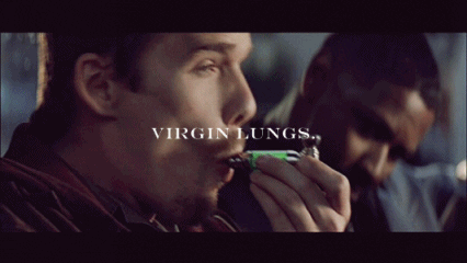 giphy.gif