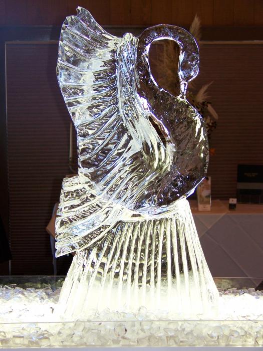ice-sculpture-barry-combess.jpg