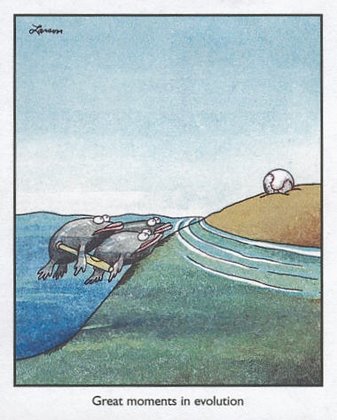 garylarson-evolution-large.jpg