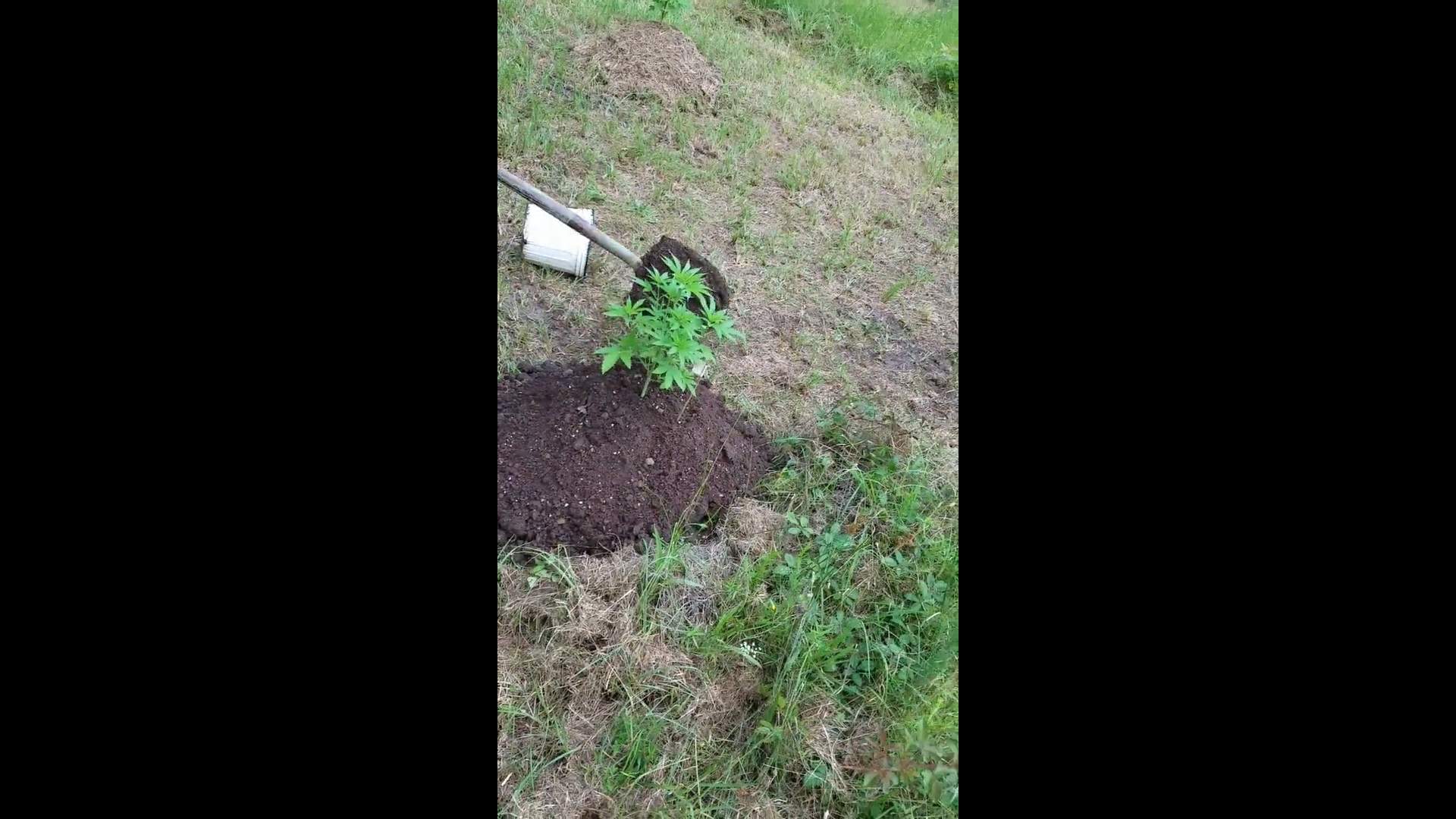 4446055_grow-journal-by-mudballs.jpg