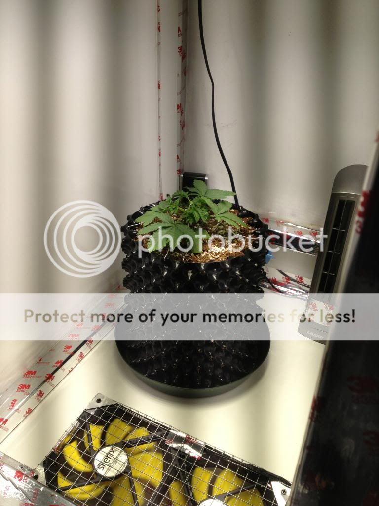 IMG_2401_zps263927ab.jpg