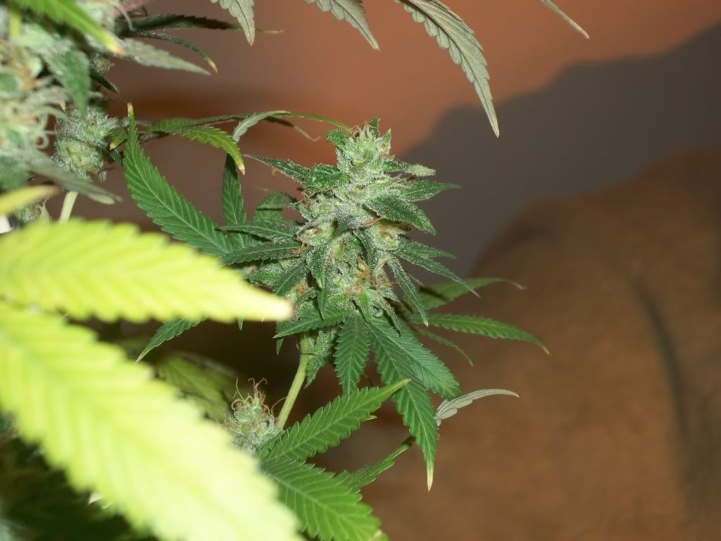 11-02-11001.jpg