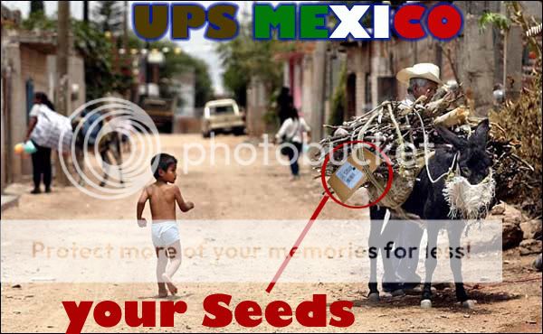 mexico_ups.jpg